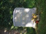 image of grave number 834330